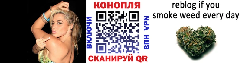 Каннабис AK-47  закладка  Анжеро-Судженск 